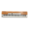 Yamaha P-120