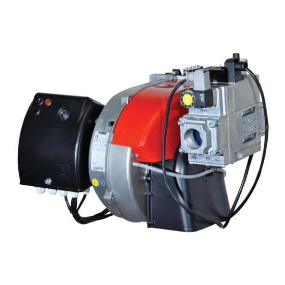 Ecoflam MAX GAS 350 P Manual Del Usuario