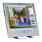 Samsung SyncMaster 172MP