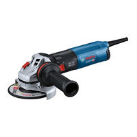 Bosch GWX Professional 17-125 S Manual Original
