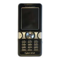 Sony Ericsson K550i Manual De Instrucciones
