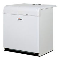 Ferroli PEGASUS 87 LN 2S Instrucciones De Uso