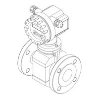 Endress+Hauser Proline Promag 10 Manual De Instrucciones