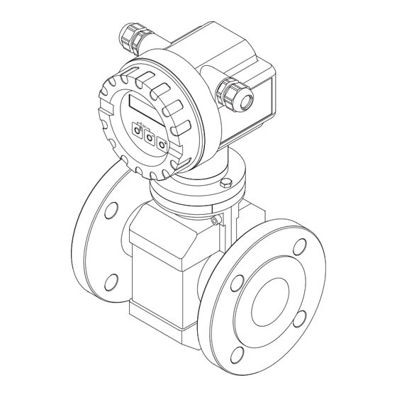 Endress+Hauser Proline promag 10 Manual De Instrucciones