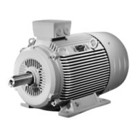 Siemens 1LG6 Manual De Instrucciones