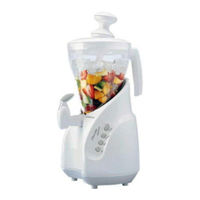 Kenwood Smoothie concert SB256 Instrucciones E Ideas Para Recetas