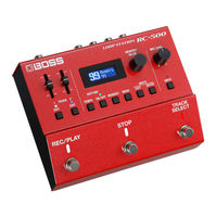 Boss LOOP STATION RC-500 Manual Del Usuario