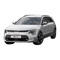 Manual del Kia Niro EV 2022