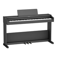 Roland RP107 Manual Del Usuario