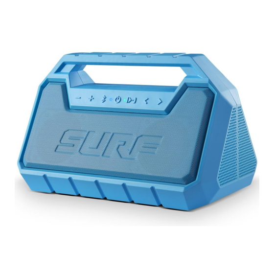 ION Surf Manuales