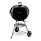 Weber 57884