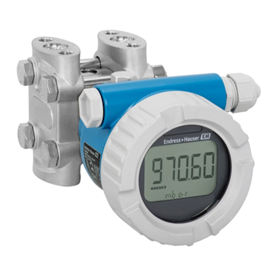 Endress+Hauser Deltabar PMD55B Manual De Instrucciones