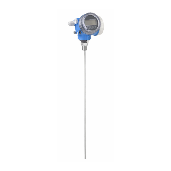 Endress+Hauser Levelflex FMP50 Manual De Instrucciones