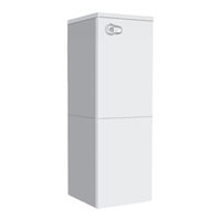Ferroli BLUEHELIX B S 32 K 100 Instrucciones De Uso, Instalación Y Mantenimiento