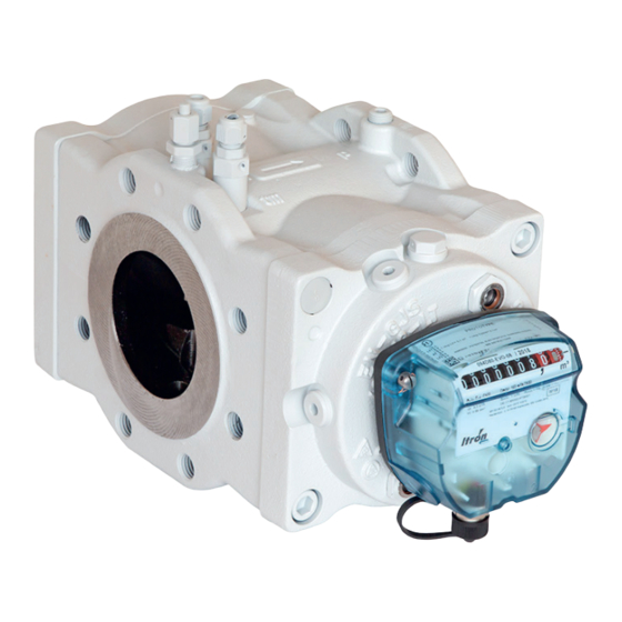ITRON Delta 224-099-2801 Manual De Instrucciones