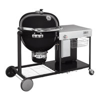 Weber Summit Guia Del Propietario