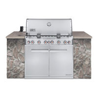 Weber Summit 460-LP Guia De Instalacion