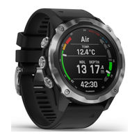 Garmin DESCENT MK2S Manual Del Usuario