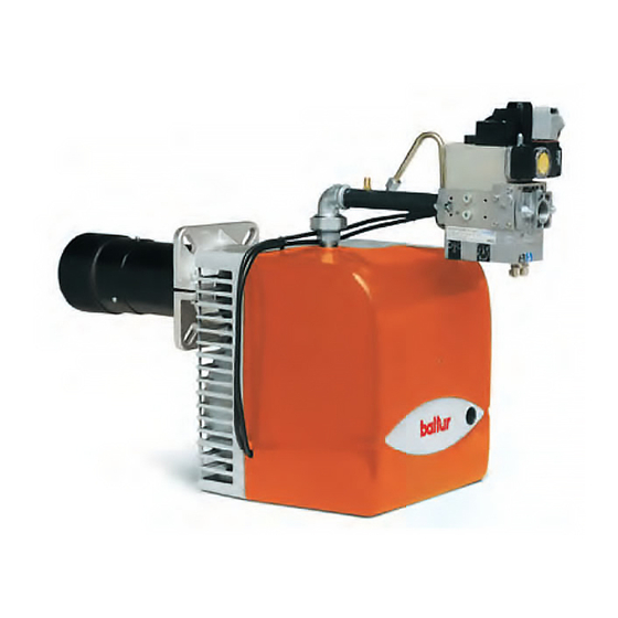 baltur BTG 20 LX Manual De Instrucciones