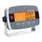 OHAUS i-DT33P