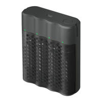 GP ReCyko Pro P461 Manual De Instrucciones
