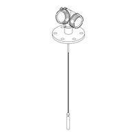 Endress+Hauser Levelflex FMP52 Manual De Instrucciones