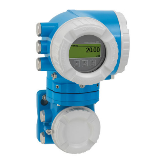 Endress+Hauser Proline Promag W 500 Manual De Instrucciones