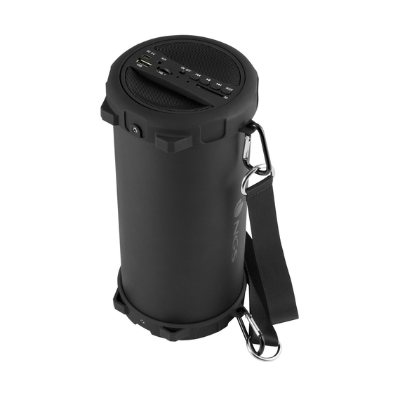 NGS ROLLER FLOW Manual De Instrucciones