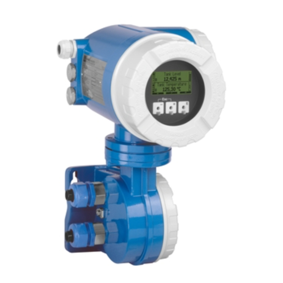 Endress+Hauser NRF590 Manual De Instrucciones