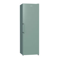 Gorenje R6191FX Instrucciones Detalladas