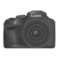 Panasonic Lumix DC-FZ82D Instrucciones De Funcionamiento Para Características Avanzadas