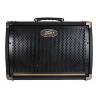 Peavey E208 Manual De Instrucciones