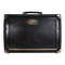 Peavey E208