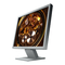 Eizo FlexScan P1700