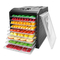 Aroma AFD-915BD - Manual del Deshidratador Digital de 9 Bandejas