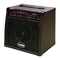 Amplificadores Laney LA20C Instrucciones De Uso