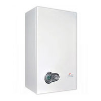 Ferroli BLUEHELIX TECH C Instrucciones De Uso