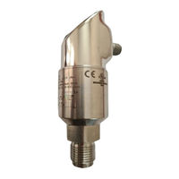 Endress+Hauser Ceraphant T PTP31 Instrucciones De Funcionamiento