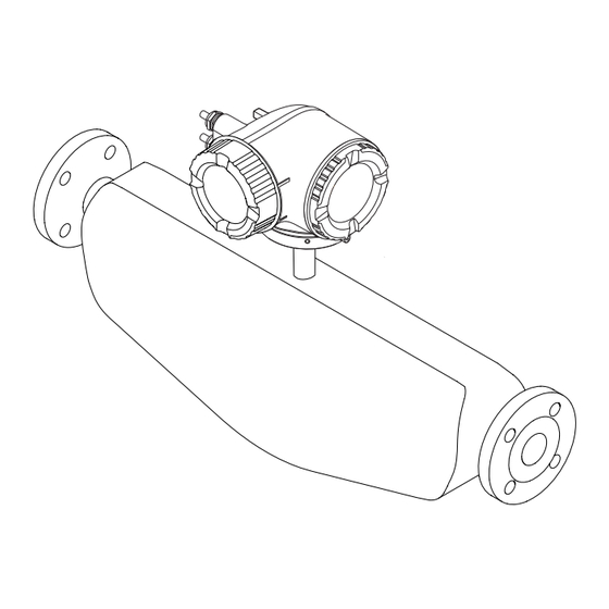Endress+Hauser Proline Promass H 300 HART Manual De Instrucciones