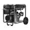 Briggs & Stratton ELITE Serie 030241