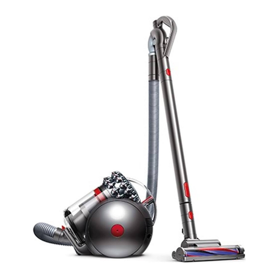 Dyson Big Ball Parquet 2 Manuales