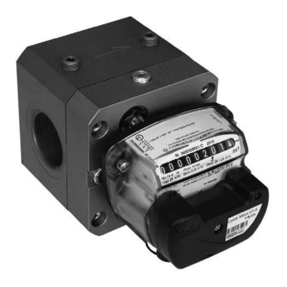 ITRON Quantometer Delta QD Manual De Instrucciones