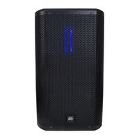 Peavey RBN 112 Manual De Instruccion