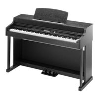 Thomann DP-95 B Manual De Instrucciones
