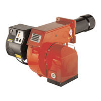 Ecoflam MAIOR P 60 AB Manual De Instrucciones