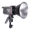 Amaran 200x - Manual de la luz de video LED Bi-Color