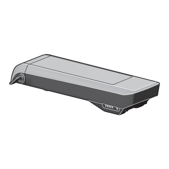 Bosch PowerPack 300 Manual Original
