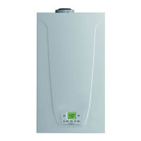 Baxi NEODENS PLUS 33/33 F ECO Instrucciones De Funcionamiento Y Mantenimento Para El Usuario