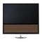 Bang & Olufsen BeoVision 14 Serie