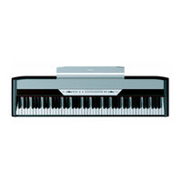 Korg SP-250 Manual De Usuario